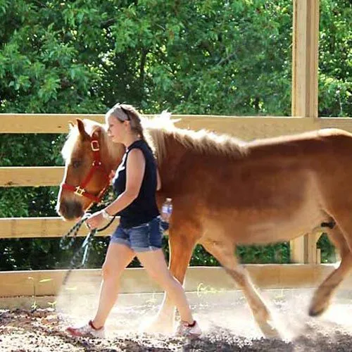 EquestraTurf Equestrian Rubber Mulch in Chicagoland Illinois