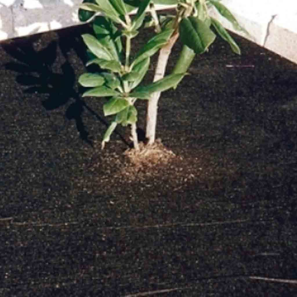 Weed Barrier - Image 4