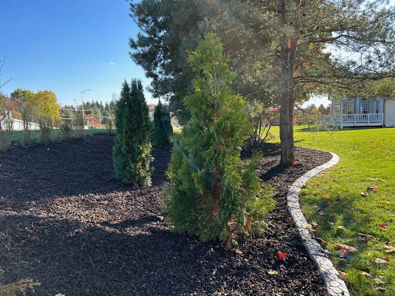 Rubber Mulch