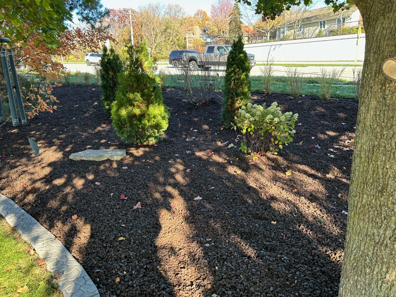 Rubber Mulch