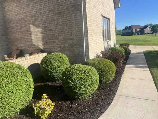 Rubber Mulch