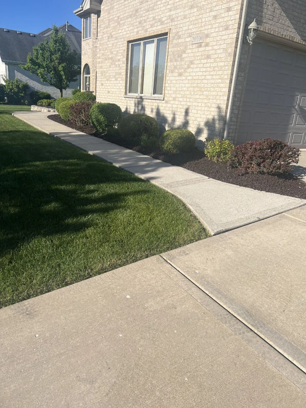 Rubber Mulch